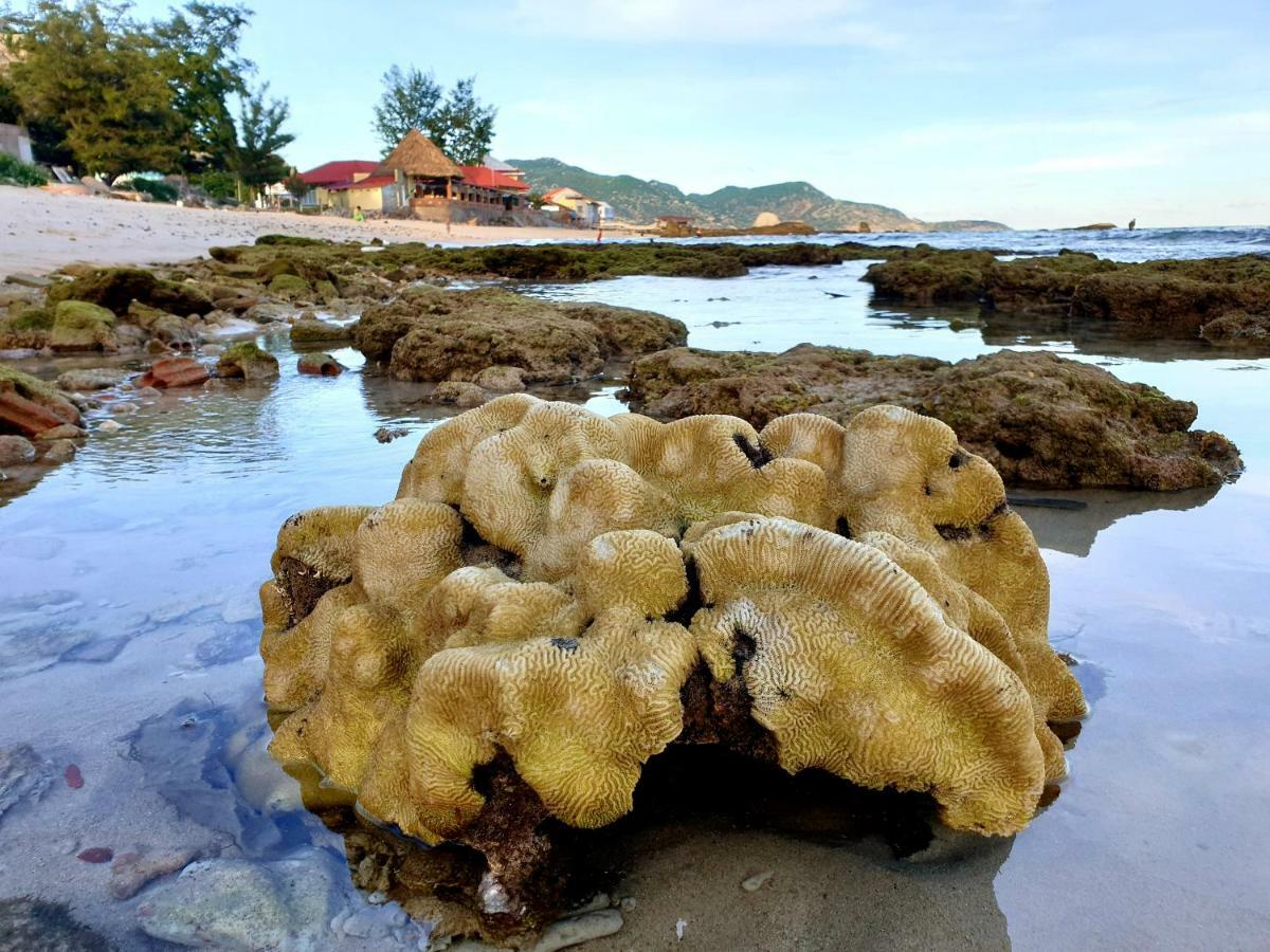Mui Dinh Hotel Phan Rang Exteriér fotografie